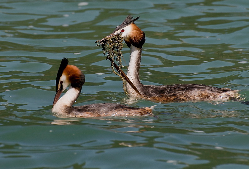toskanaD35_6621 als Smart-Objekt-1.jpg